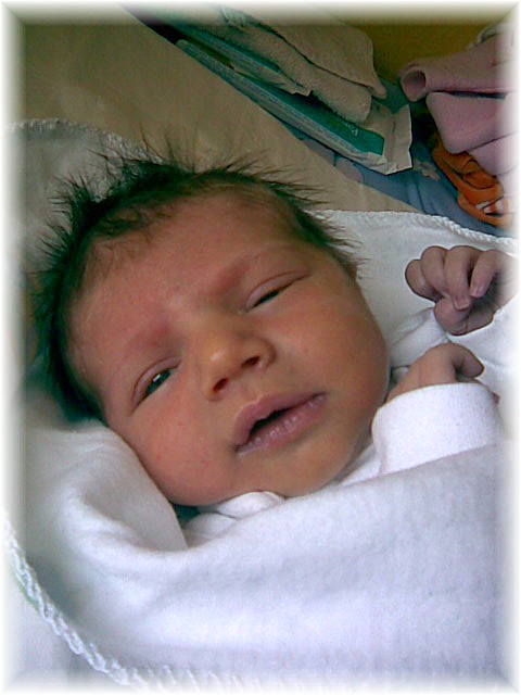 011_2008.jpg - 67826 Bytes