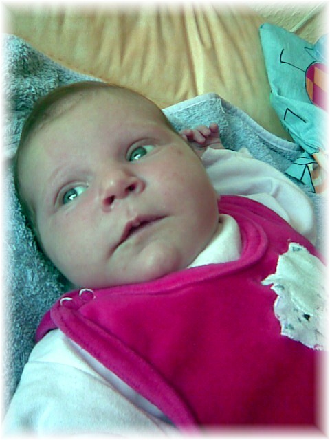 011b_2008.jpg - 67826 Bytes