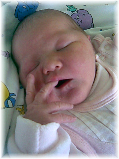 012_2008.jpg - 67826 Bytes