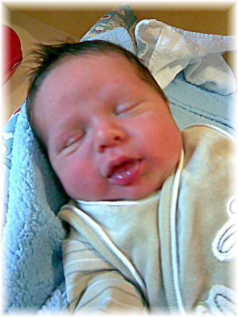 012_2008.jpg - 67826 Bytes