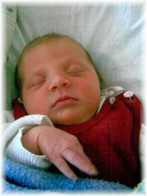 014_2008.jpg - 67826 Bytes