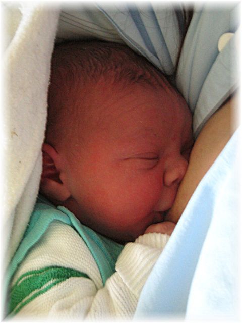 015_2008.jpg - 67826 Bytes