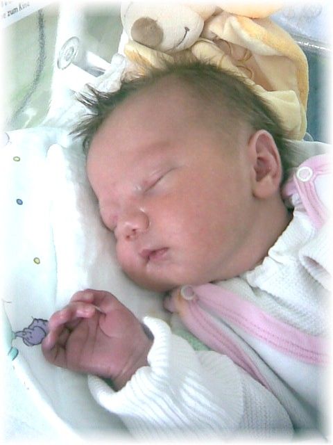 017_2008.jpg - 67826 Bytes