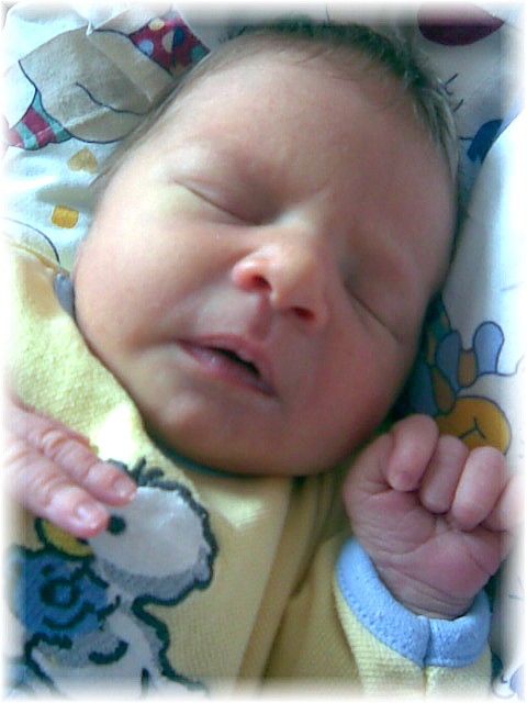 019_2008.jpg - 67826 Bytes