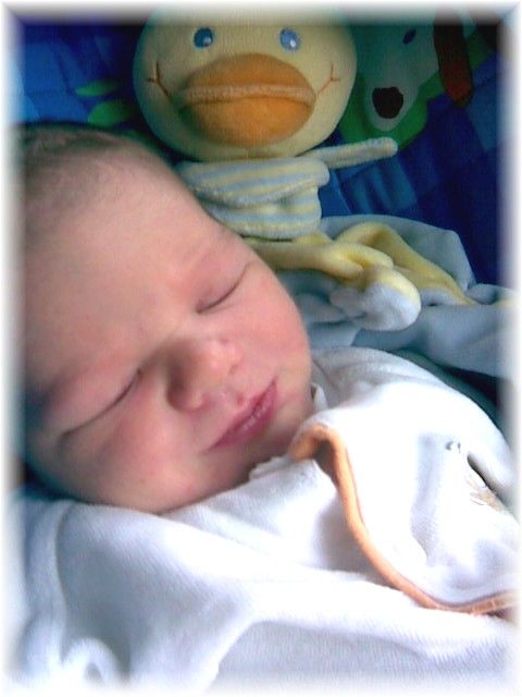 020_2008.jpg - 67826 Bytes