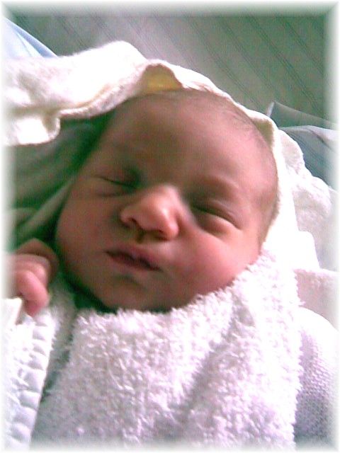 021_2008.jpg - 67826 Bytes