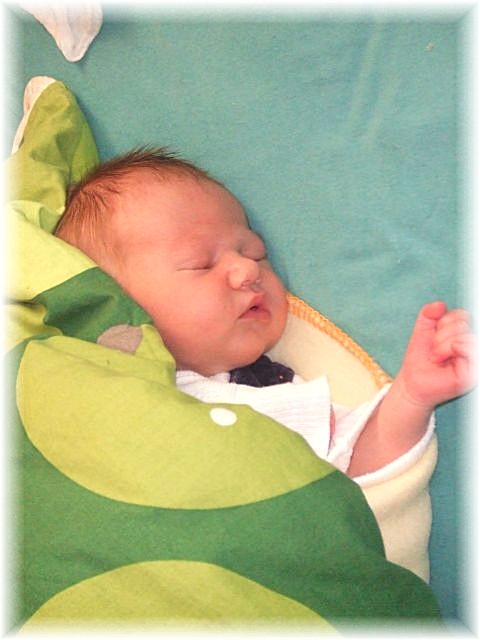 022_2008.jpg - 67826 Bytes