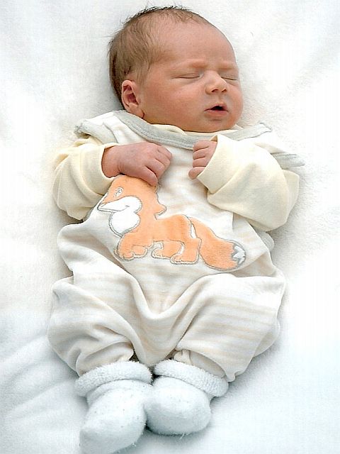 021_2008.jpg - 67826 Bytes