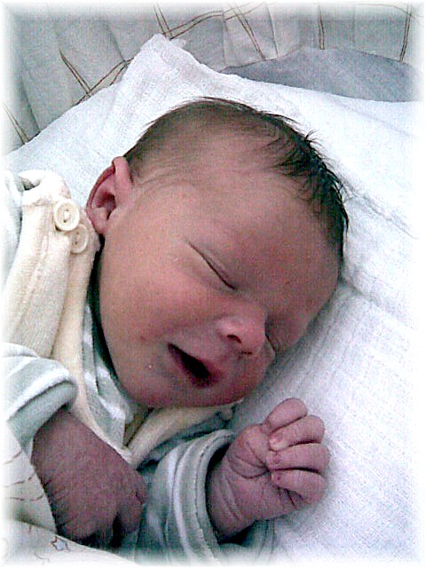 024_2008.jpg - 67826 Bytes