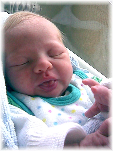 025_2008.jpg - 67826 Bytes