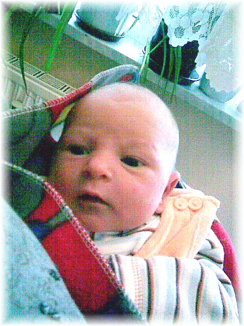 026_2008.jpg - 67826 Bytes