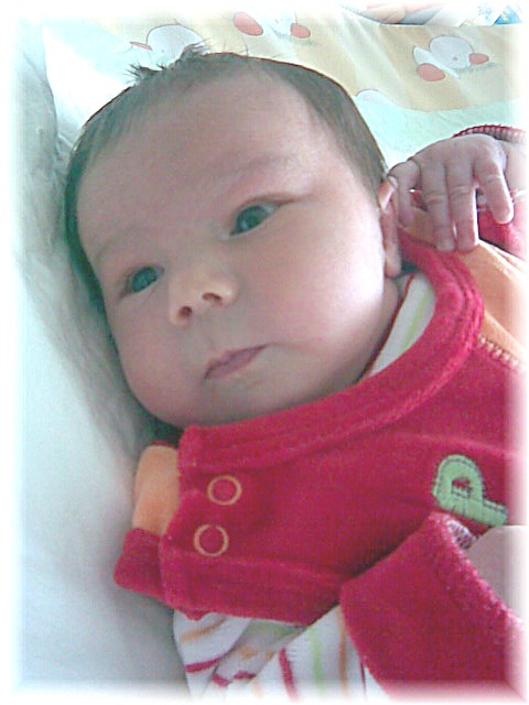 027_2008.jpg - 67826 Bytes