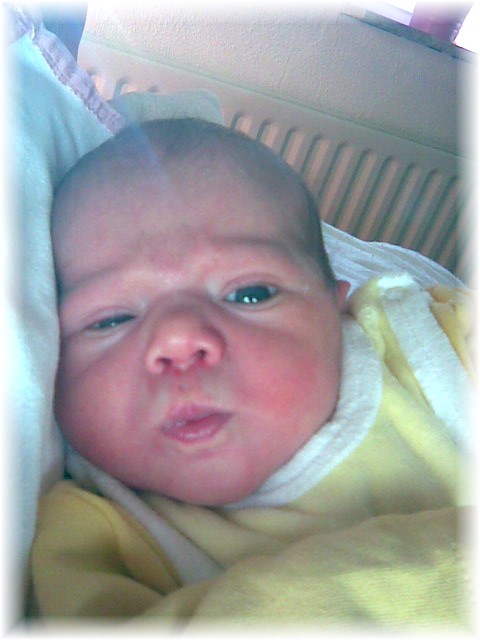 028_2008.jpg - 67826 Bytes