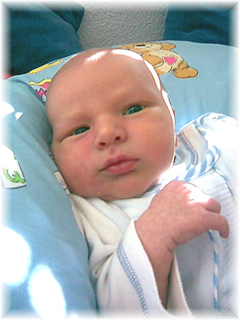 029_2008.jpg - 67826 Bytes