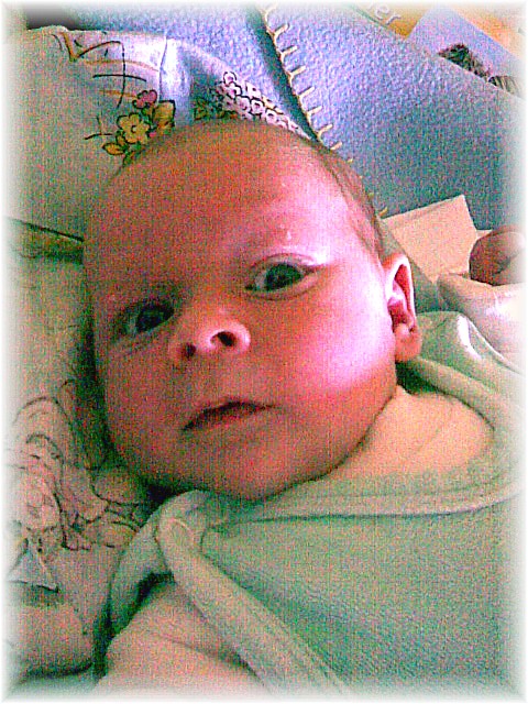 030_2008.jpg - 67826 Bytes