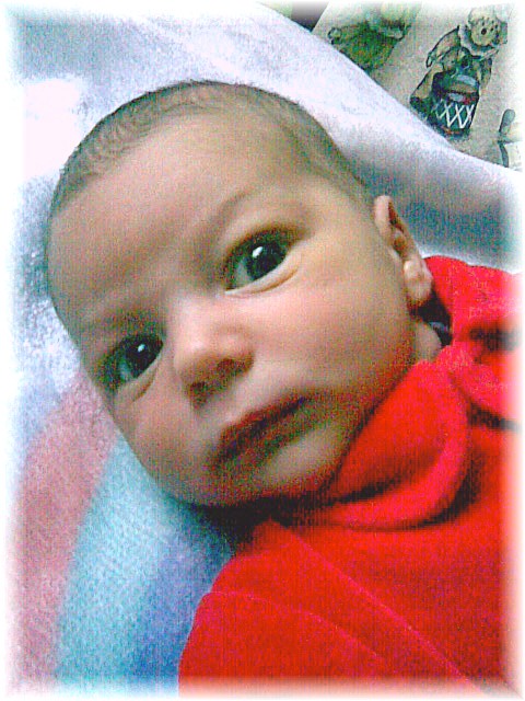 032_2008.jpg - 67826 Bytes