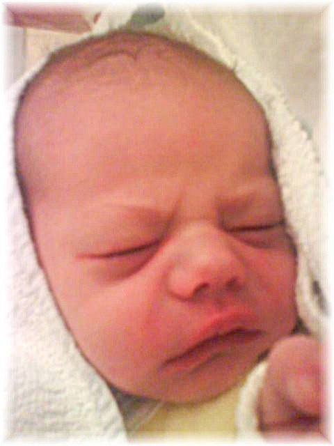 033_2008.jpg - 67826 Bytes