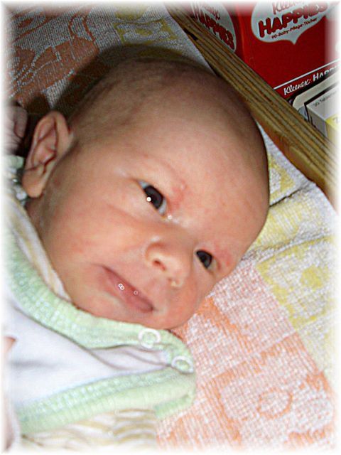 034_2008.jpg - 51240 Bytes