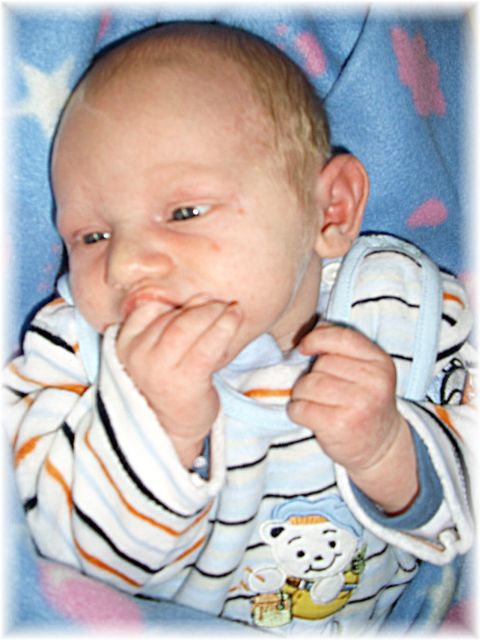 035_2008.jpg - 49834 Bytes