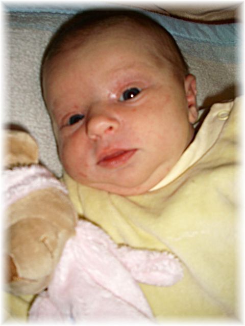 037_2008.jpg - 49834 Bytes