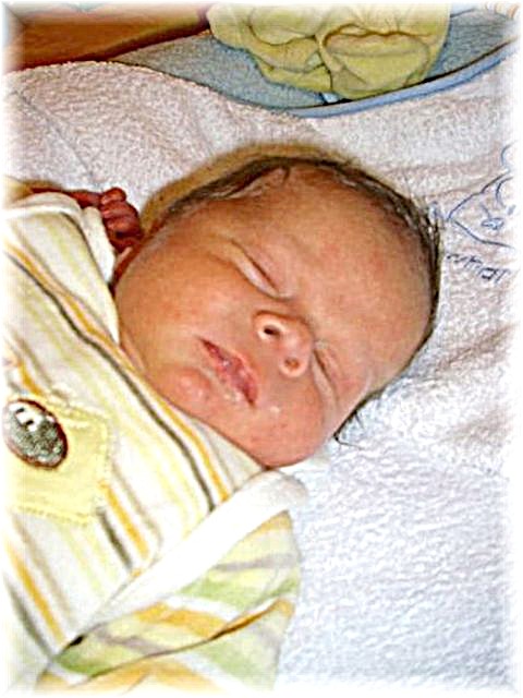 038_2008.jpg - 49834 Bytes