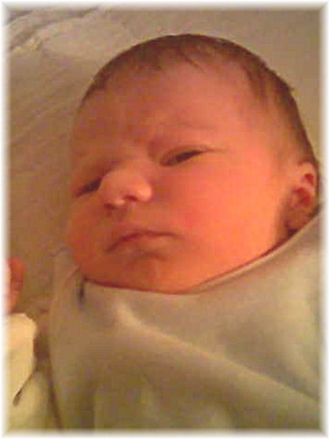 001_2009.jpg - 79494 Bytes