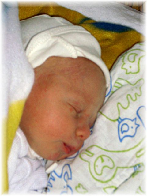 002_2009.jpg - 79494 Bytes