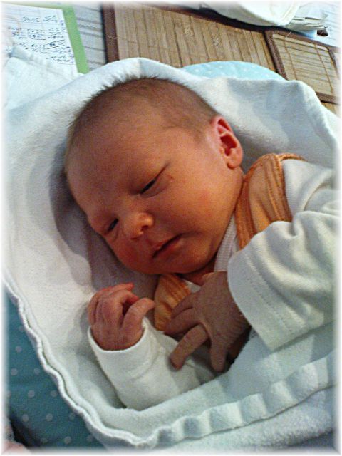 003_2009.jpg - 79494 Bytes