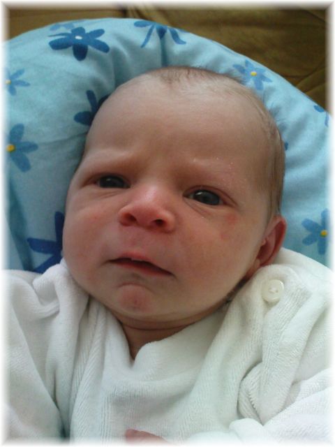 005_2009.jpg - 79494 Bytes