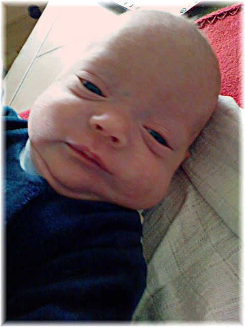 006_2009.jpg - 79494 Bytes