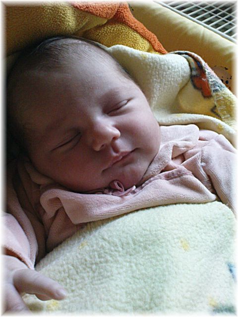 007_2009.jpg - 79494 Bytes