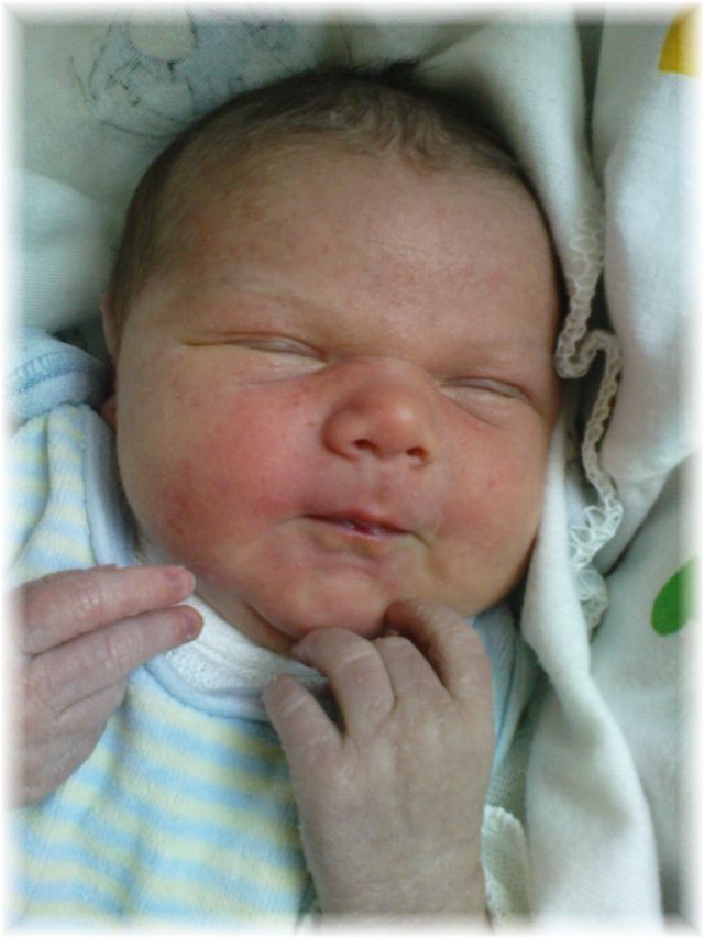 008_2009.jpg - 79494 Bytes