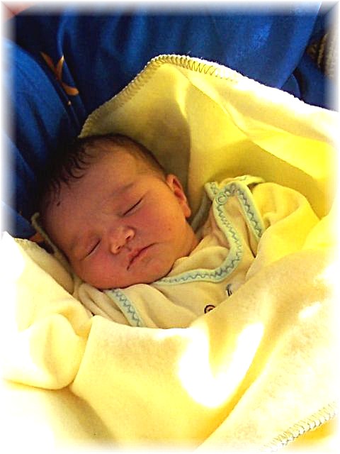 011_2009.jpg - 79494 Bytes