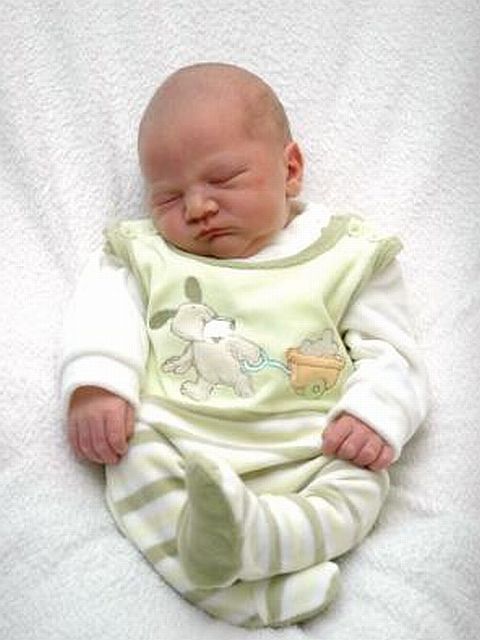 012_2009.jpg - 79494 Bytes