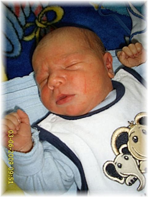 015_2009.jpg - 79494 Bytes