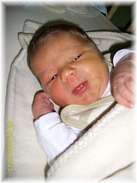 016_2009.jpg - 79494 Bytes