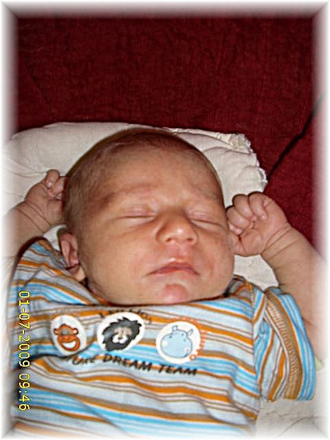 018_2009.jpg - 79494 Bytes