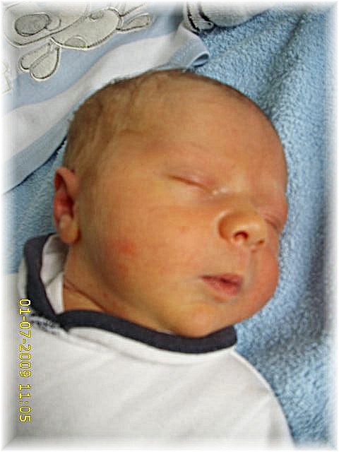 019_2009.jpg - 79494 Bytes