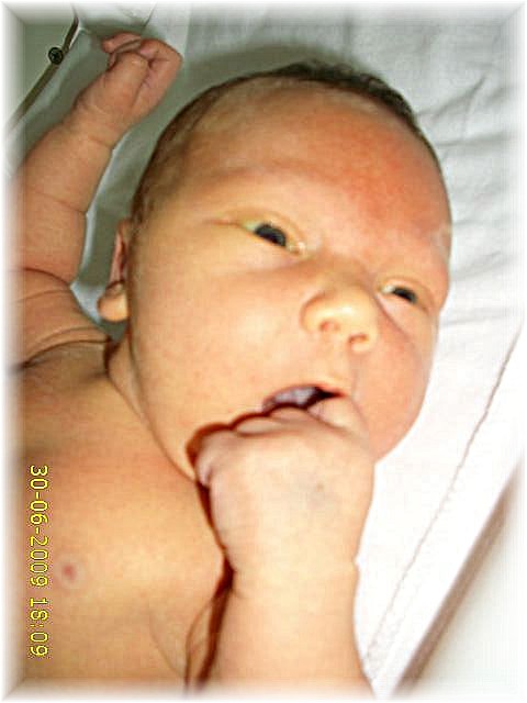 020_2009.jpg - 79494 Bytes