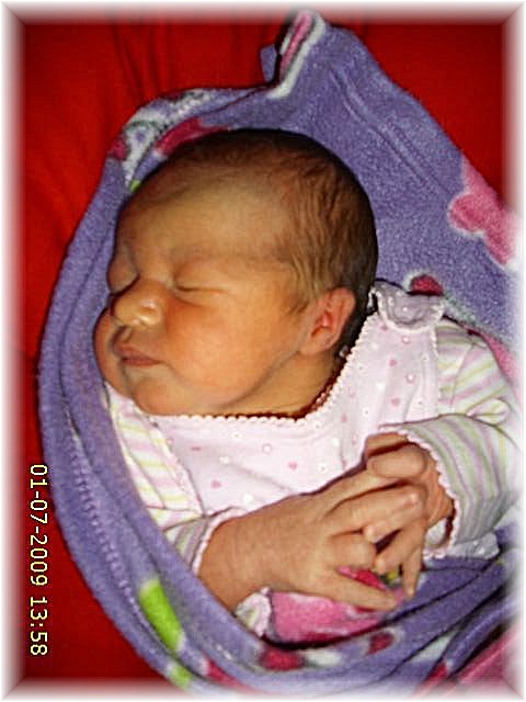 021_2009.jpg - 79494 Bytes