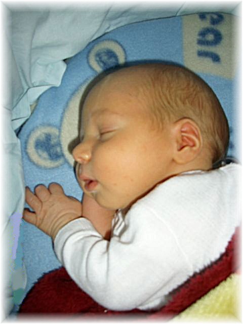 024_2009.jpg - 79494 Bytes