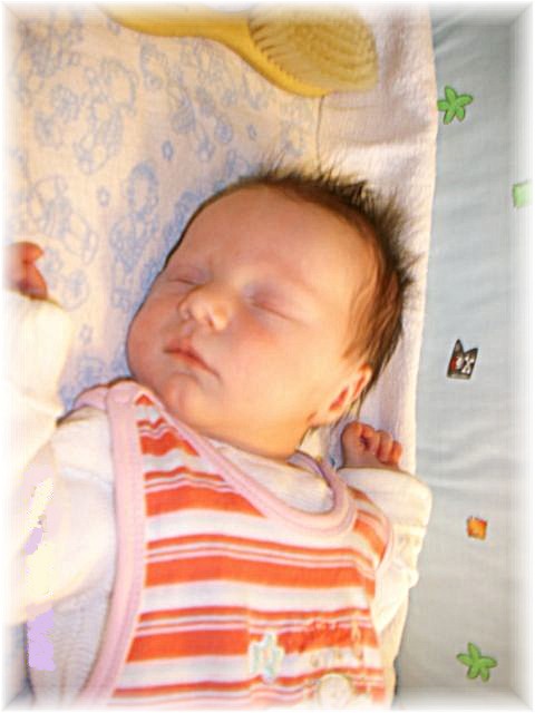 026_2009.jpg - 79494 Bytes