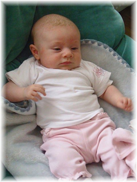 027_2009.jpg - 79494 Bytes