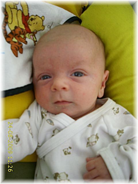 028_2009.jpg - 79494 Bytes