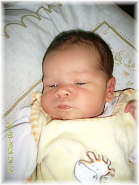 031_2009.jpg - 79494 Bytes