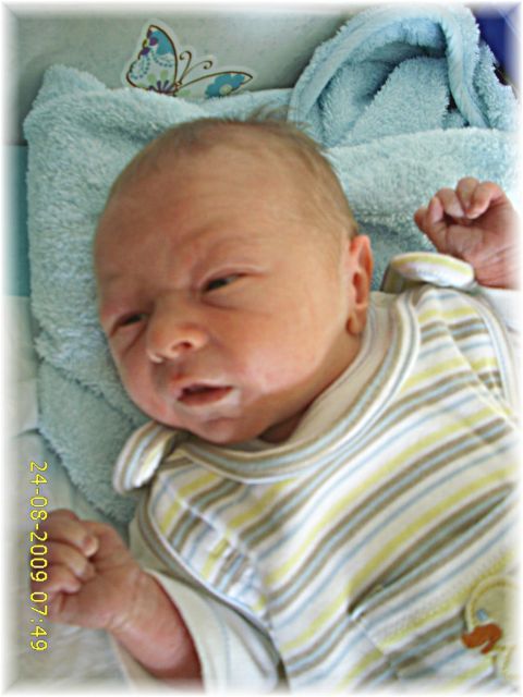 032_2009.jpg - 79494 Bytes