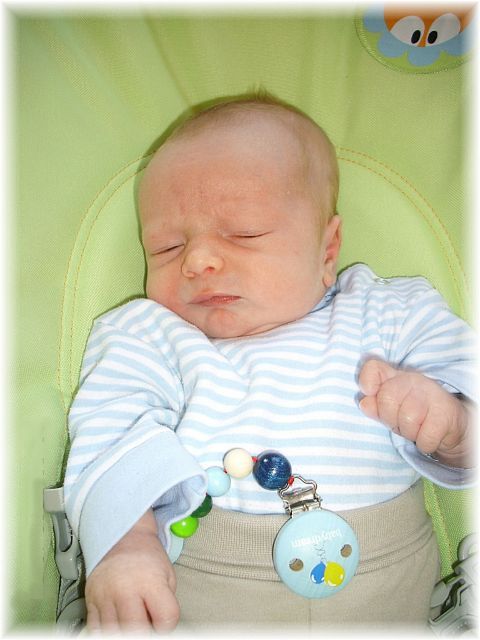 033_2009.jpg - 79494 Bytes