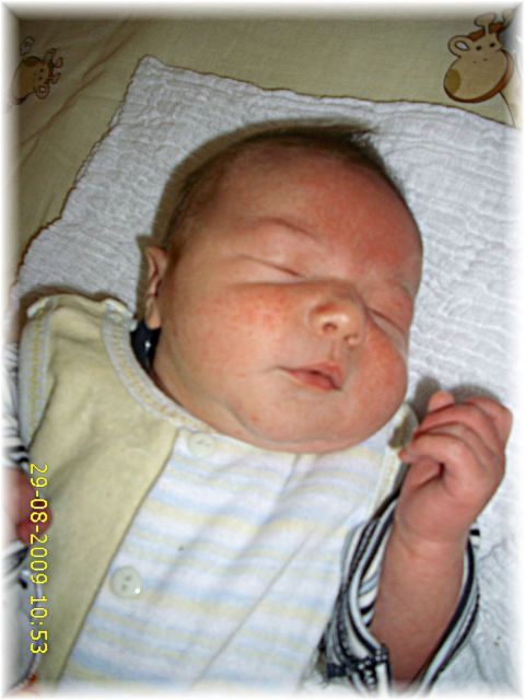 034_2009.jpg - 79494 Bytes