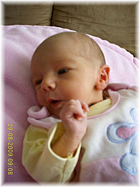 035_2009.jpg - 79494 Bytes