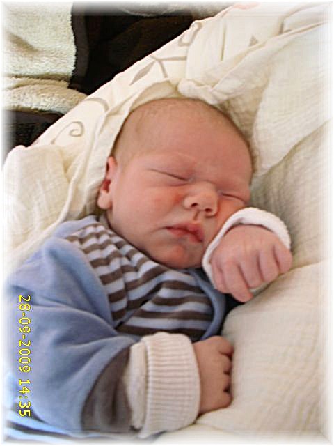 036_2009.jpg - 79494 Bytes